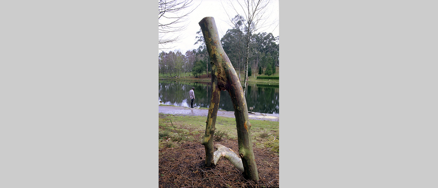 Title. IGN.185: iv.269.904. Situated in the Coto Redondo Park, Pontevedra, Spain,  In collaboration with the Universitario de Pontevedra, Campus universitario de Pontevedra, and sponsored by the Antymiento de Pontevedra, Spain. Wood sculpture by Michael Winstone. 1996